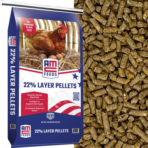 AMC 22% layer pellets